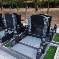 中华园2区龙凤碑55800