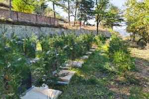 永宁陵园景观图片