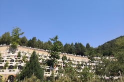 盘龙台公墓环境图