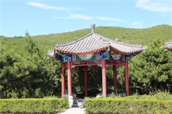龙泉公墓环境实拍