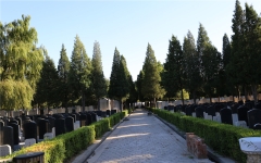 通惠陵园环境图1-200FQ50329