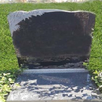 安锦苑立碑0126800