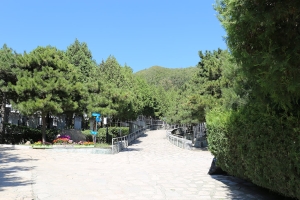 温泉墓园景观图片