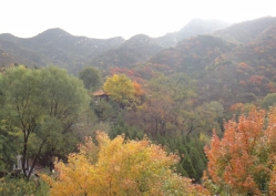 八达岭陵园环境图