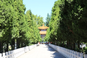 福田公墓景观图片