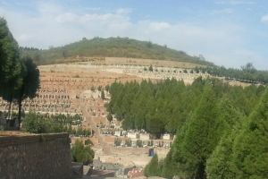 龙泉公墓景观图片