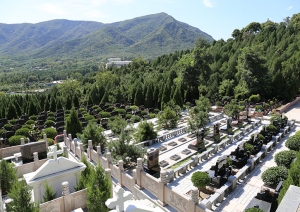 温泉公墓价位一览：了解价格因素与选购建议