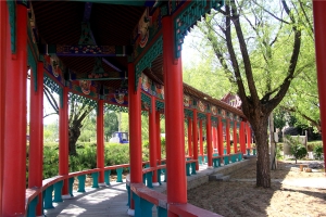 福安园公墓景观图片