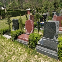 龙颌园立碑063982001