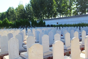 惠灵山公墓怎么样 实地探访与深度解析