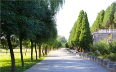 太子峪陵园环境图1565767580