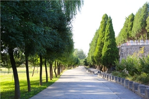 太子峪陵园景观图片