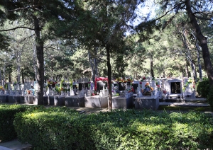 长青园墓地电话是多少