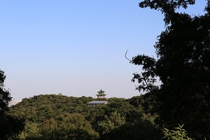 金山陵园景观图片
