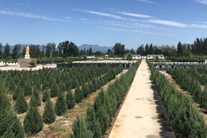 天福园公墓景观图片