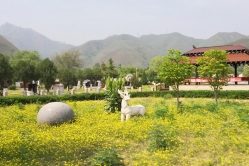 昌平凤凰山陵园环境图