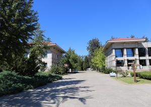 选择理想公墓的五大关键要素