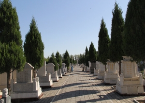 选择合适陵园的全面指南