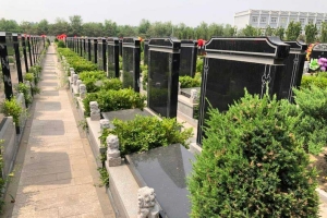 万桐园公墓景观图片