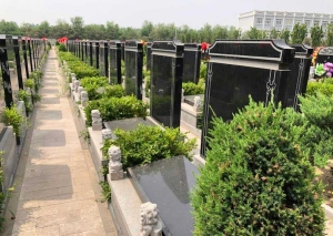 廊坊陵园万桐园：探寻静谧的生命归所