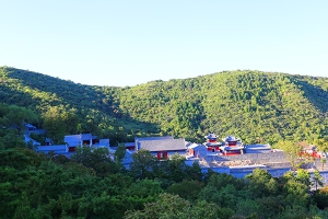 金山陵园：宁静安息的永恒家园