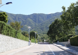 天山陵园环境图