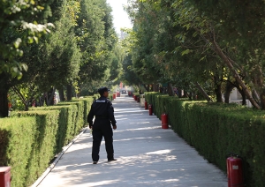 天堂公墓：永恒安息之所的专业服务指南