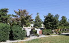 朝阳陵园环境图陵园墓区