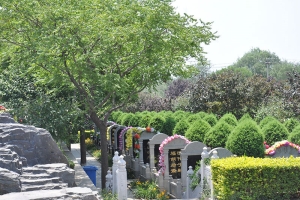 静安墓园景观图片