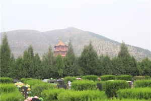 皇家龙山陵园景观图片