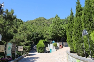 温泉墓园景观图片