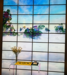 数字园壁葬0246000