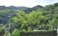 九公山陵园环境实拍1584924048997