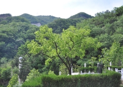 九公山陵园环境实拍