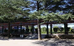 八宝山革命公墓环境图长廊