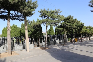 太子峪陵园景观图片