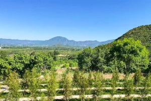 永宁陵园景观图片