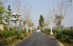 永安陵园环境图1-231012142R6