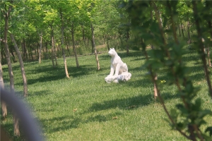 墓区环境3