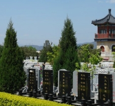 黑白墓型