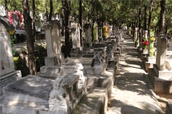 龙泉公墓环境实拍