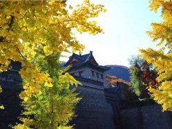 八达岭陵园环境图