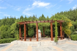 龙泉公墓环境实拍