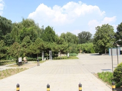 思亲园陵园环境图