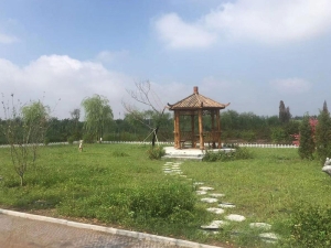 清颐园公墓位置及详细介绍