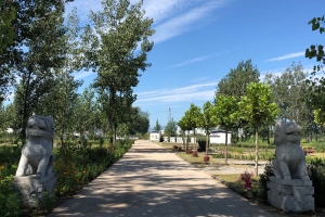 天福园公墓景观图片