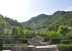 九公山陵园环境实拍