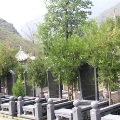 珍珠源公墓景观图