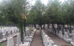 昌平凤凰山陵园环境图s1589009390775LI