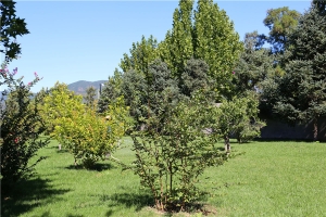 墓地选择指南：从价格到服务的全方位解析